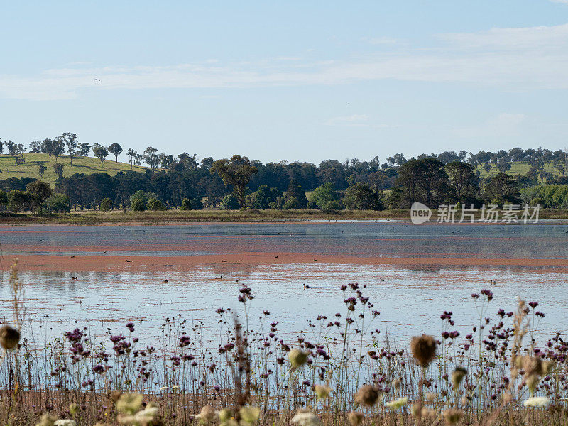 Dangar的泻湖景观- Uralla，新南威尔士州